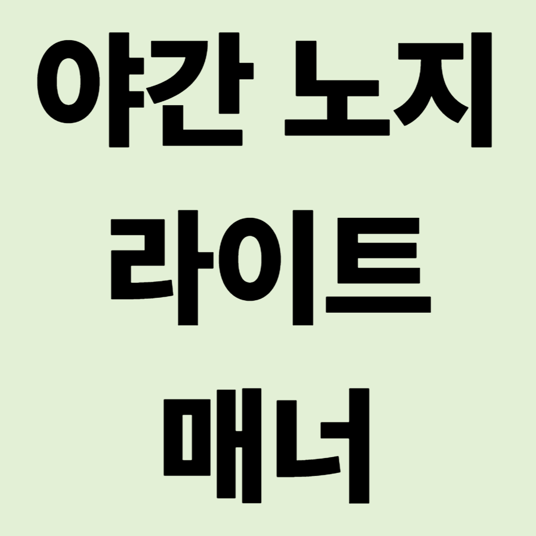 야간 노지 진입 시 주변 캠퍼의 수면을 방해하지 않는 라이트 매너