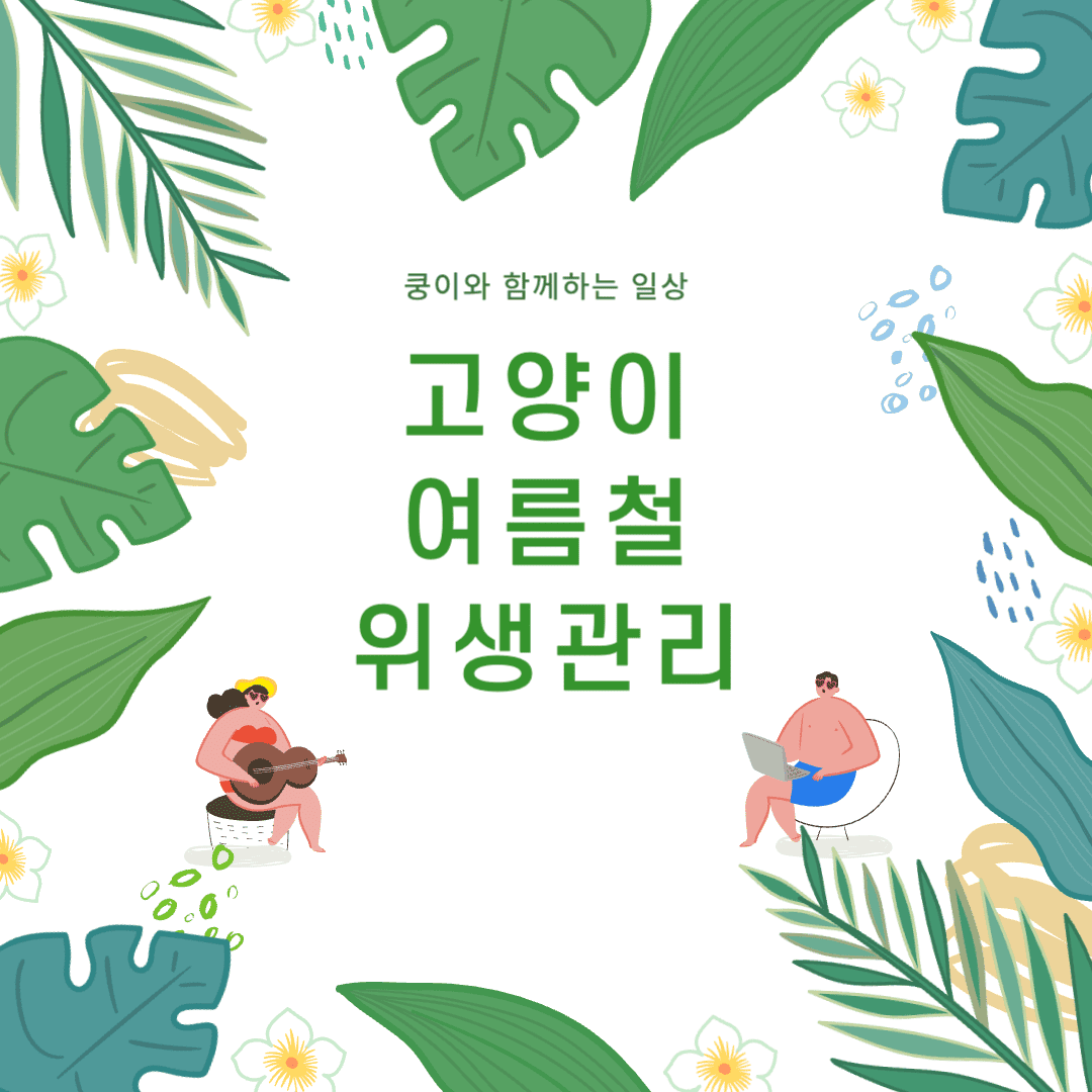 고양이 여름철 고양이 목욕과 위생관리