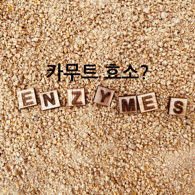 카무트와 카무트 효소 비교