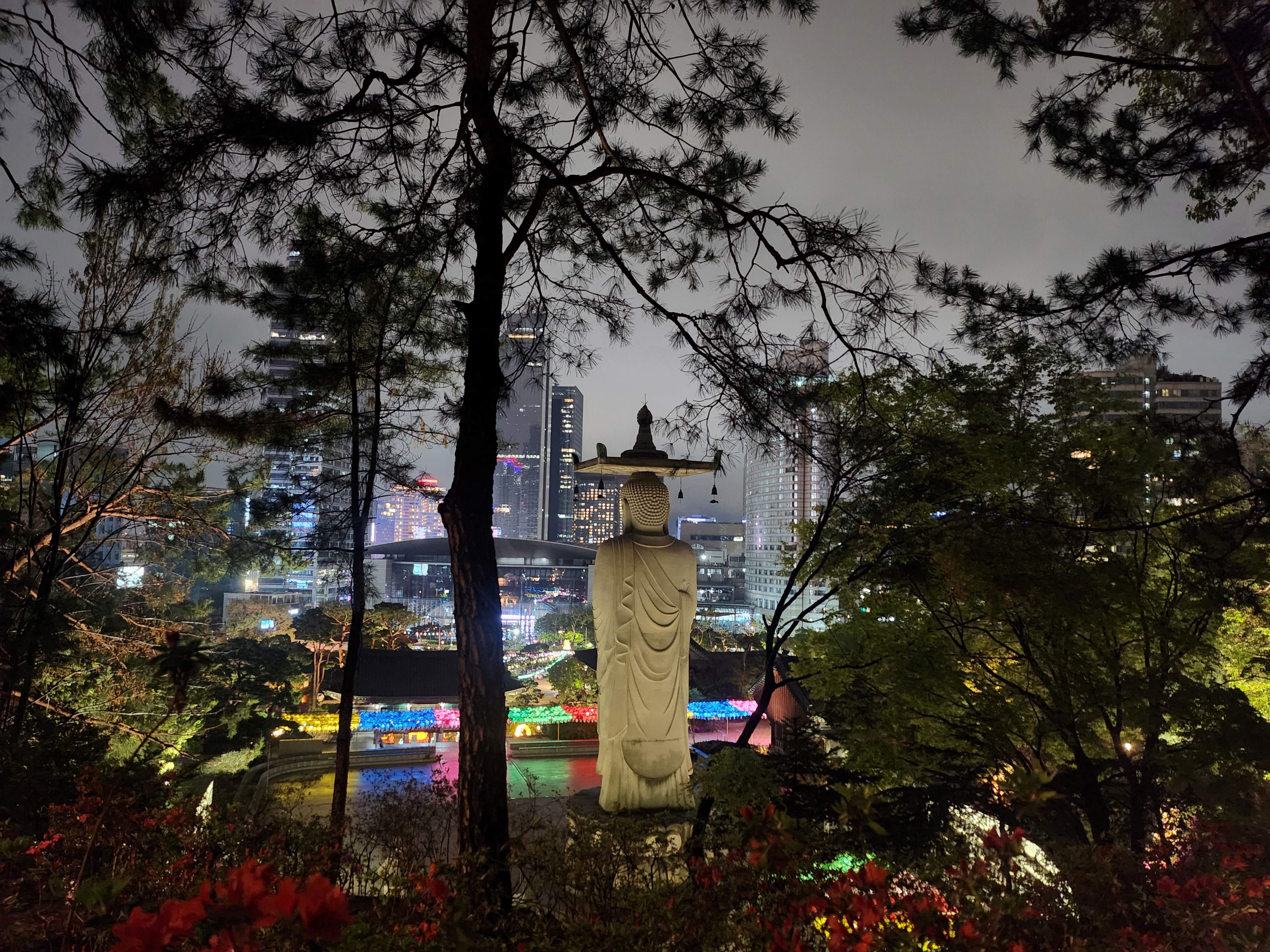 2025. 4. 19. 봉은사 연등제 야경 산책 후기 (겹벚꽃, 라일락, 홍매화 개화상황 포함)