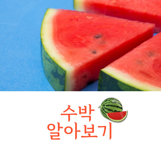 수박