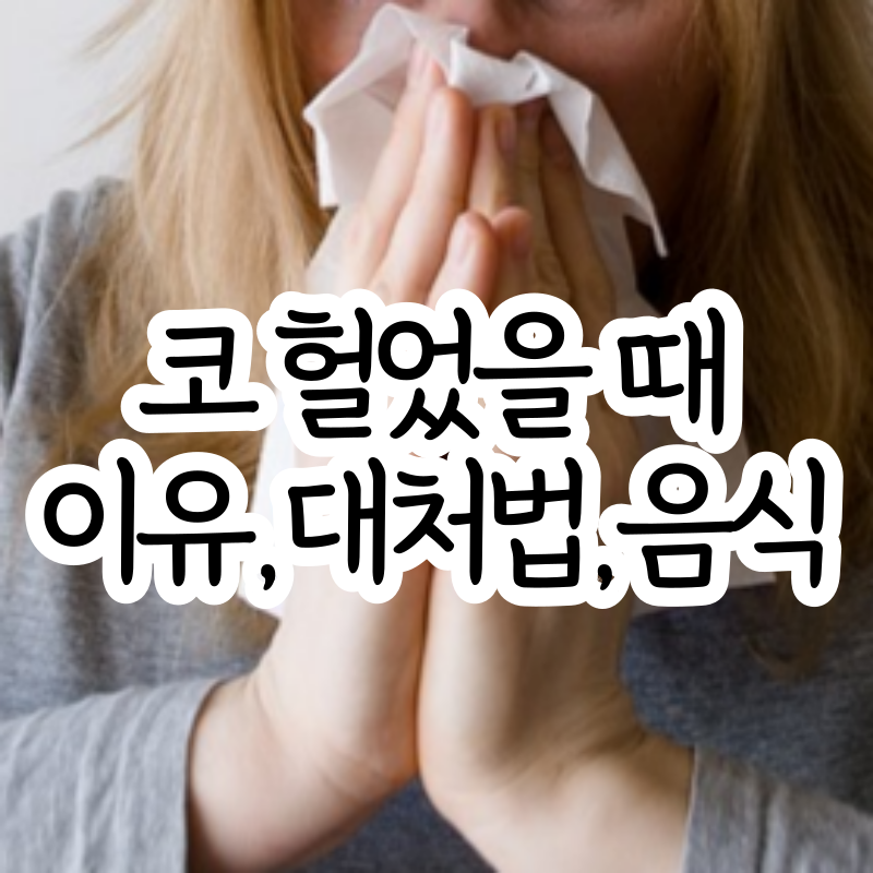 코 헐었을때 연고 없다면 코 안 코 밑 대처법