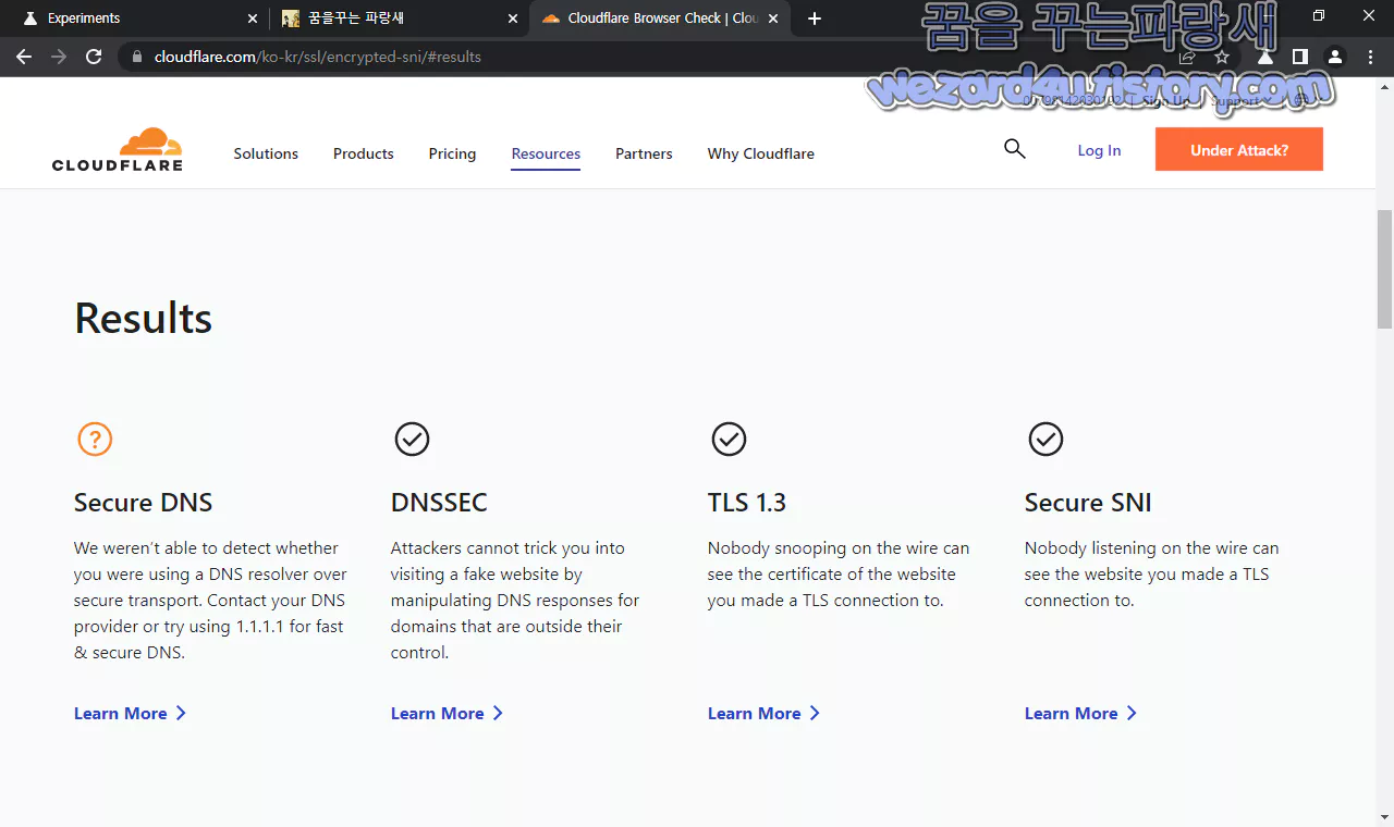 Encrypted Client Hello (ECH) 활성화