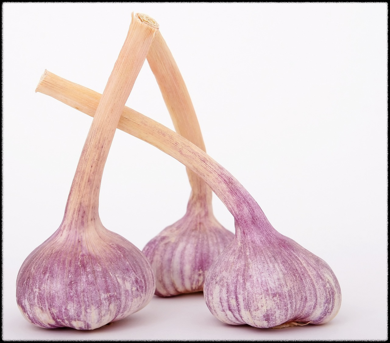 마늘 효능 이미지13