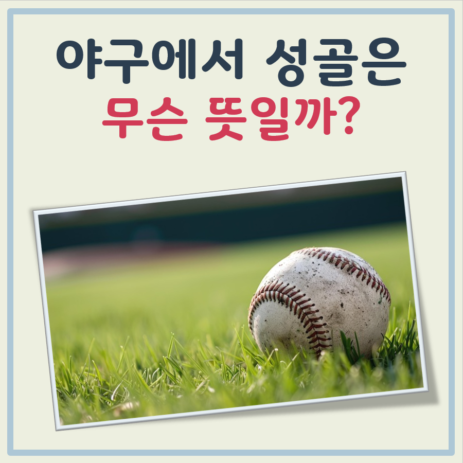 야구 성골 뜻 대표 이미지