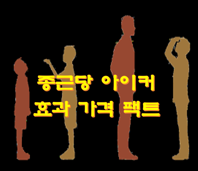 아이커-가격