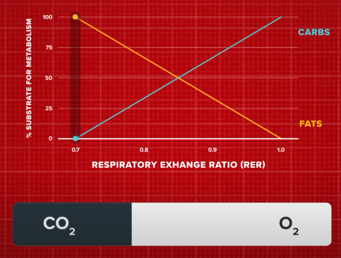 Substrate for metabolism(신진대사 기질), Respiratory Exchange Ratio 호흡교환비율(RER), CARBS 탄수화물, FATS 지방