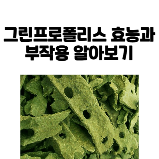 그린프로폴리스 효능과 부작용