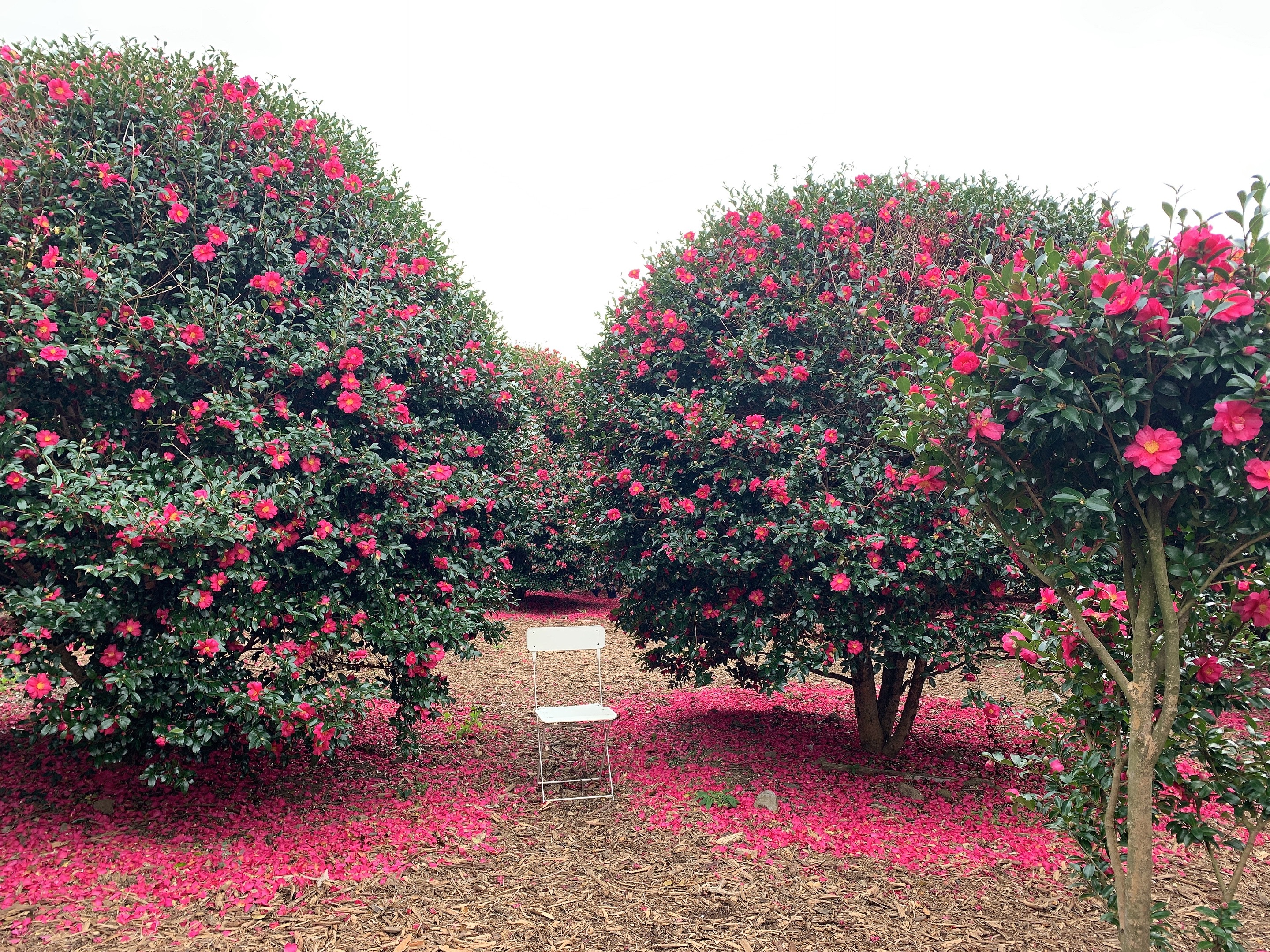 제주도 신혼여행 준비물