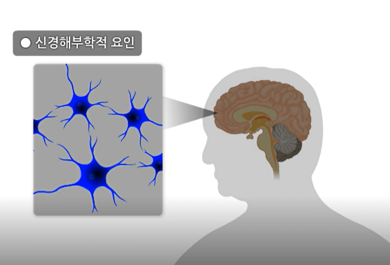 우울증의 생물학적 요인6