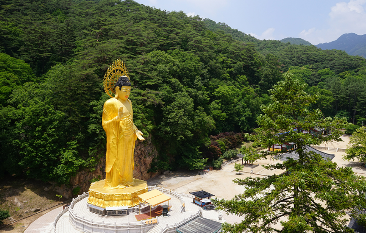 법주사 금동 미륵대불 역사