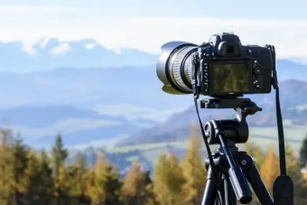 DSLR 카메라 꽃 촬영 접사 거리 합초 요령_4