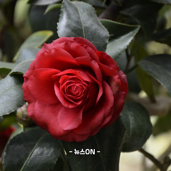 제주도 12월 가볼만한곳 10곳