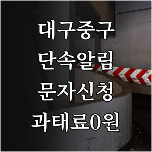 대구 중구청 주정차단속 알림 문자 신..