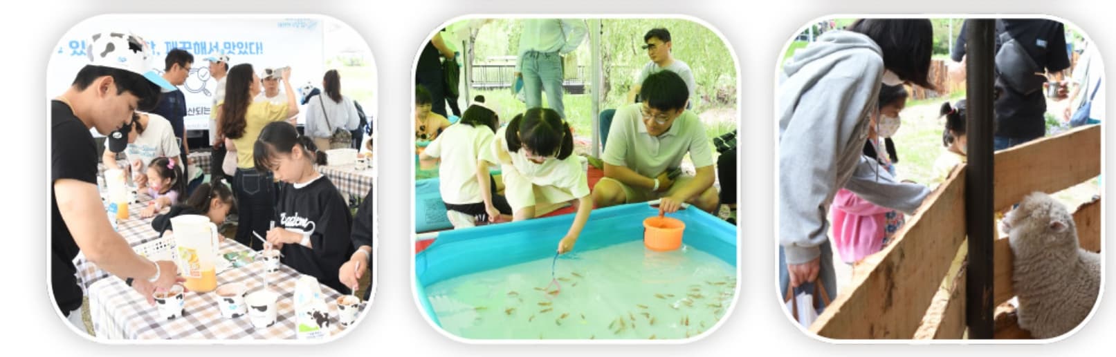 [4월 축제]2025 함평나비대축제｜일정, 기간, 입장권 예매 할인, 입장권 예약 이벤트, 공연, 체험프로그램 총정리