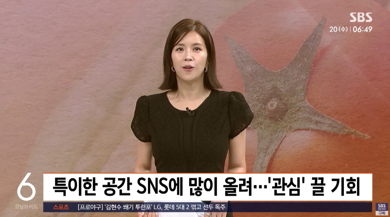 루이비통 만두세알 한국F&amp;B시장 만두논란 스토리텔링 구찌 에르메스 크리스찬디올 프리미엄소비 브랜드충성도