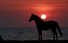 병오년 새해 이미지 무료