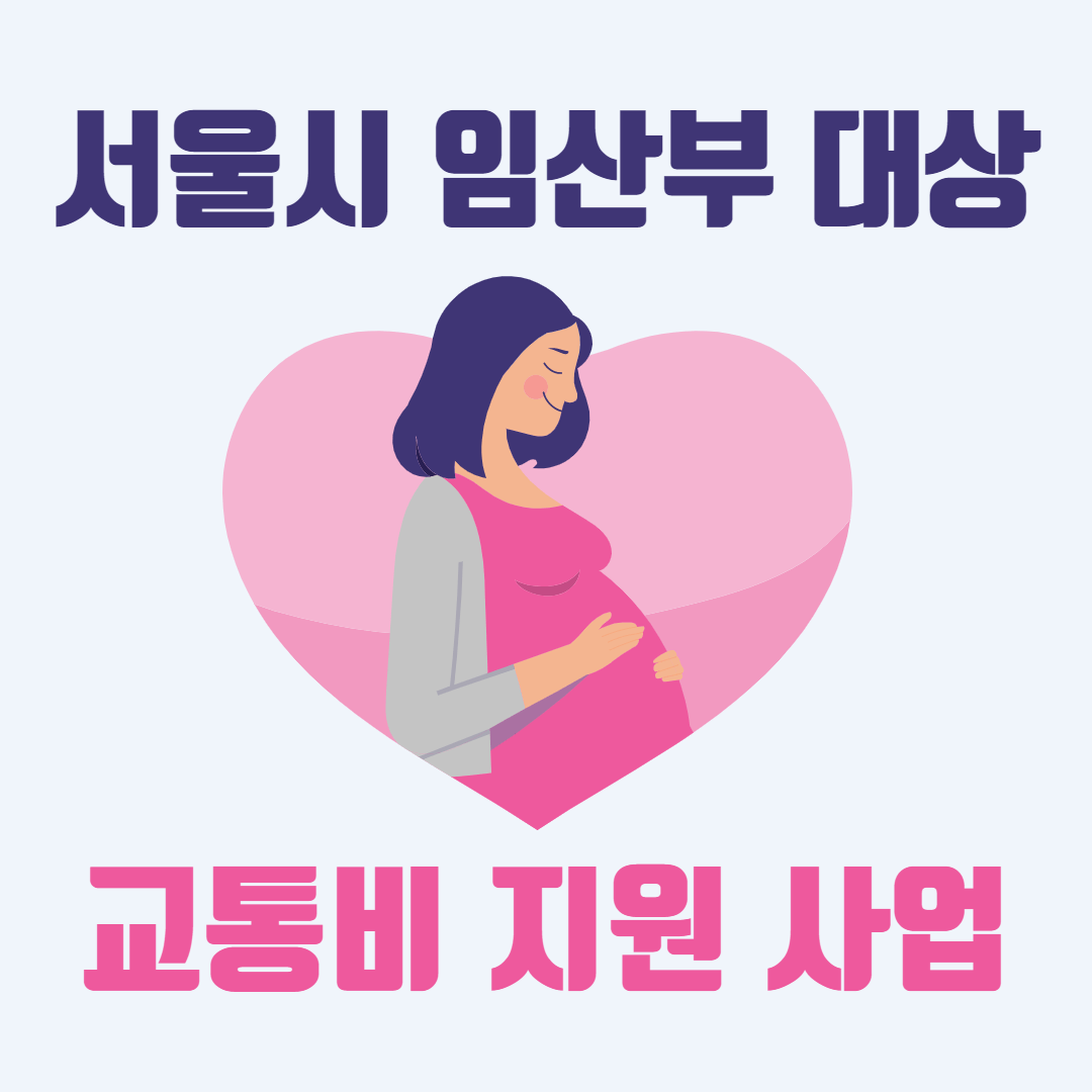 서울시 임산부 교통비 지원