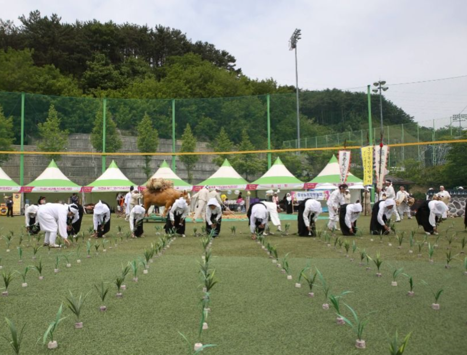 웅상회야제 양산 축제일정 츄 울랄라세션