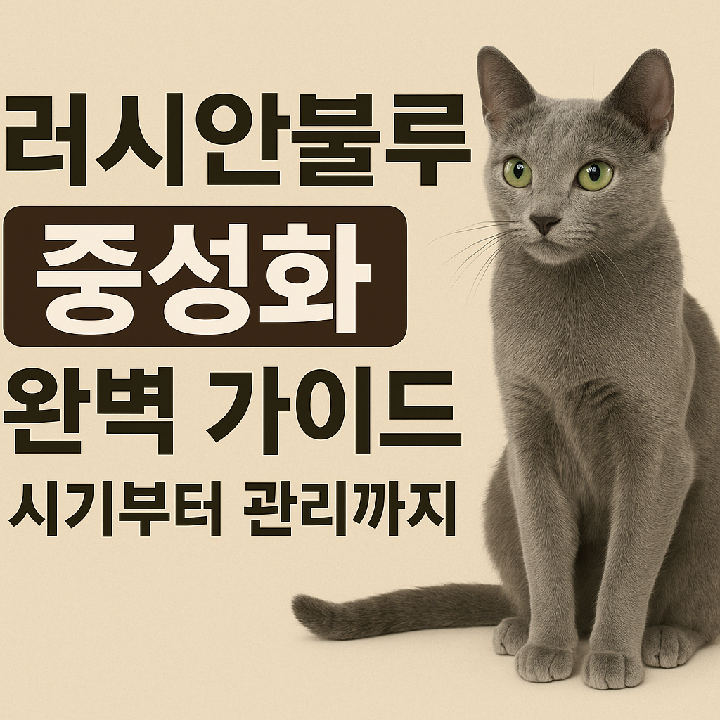 러시안블루 중성화