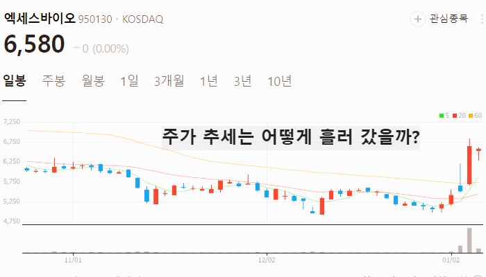엠폭스 관련주 대장주 테마주 수혜주 TOP5