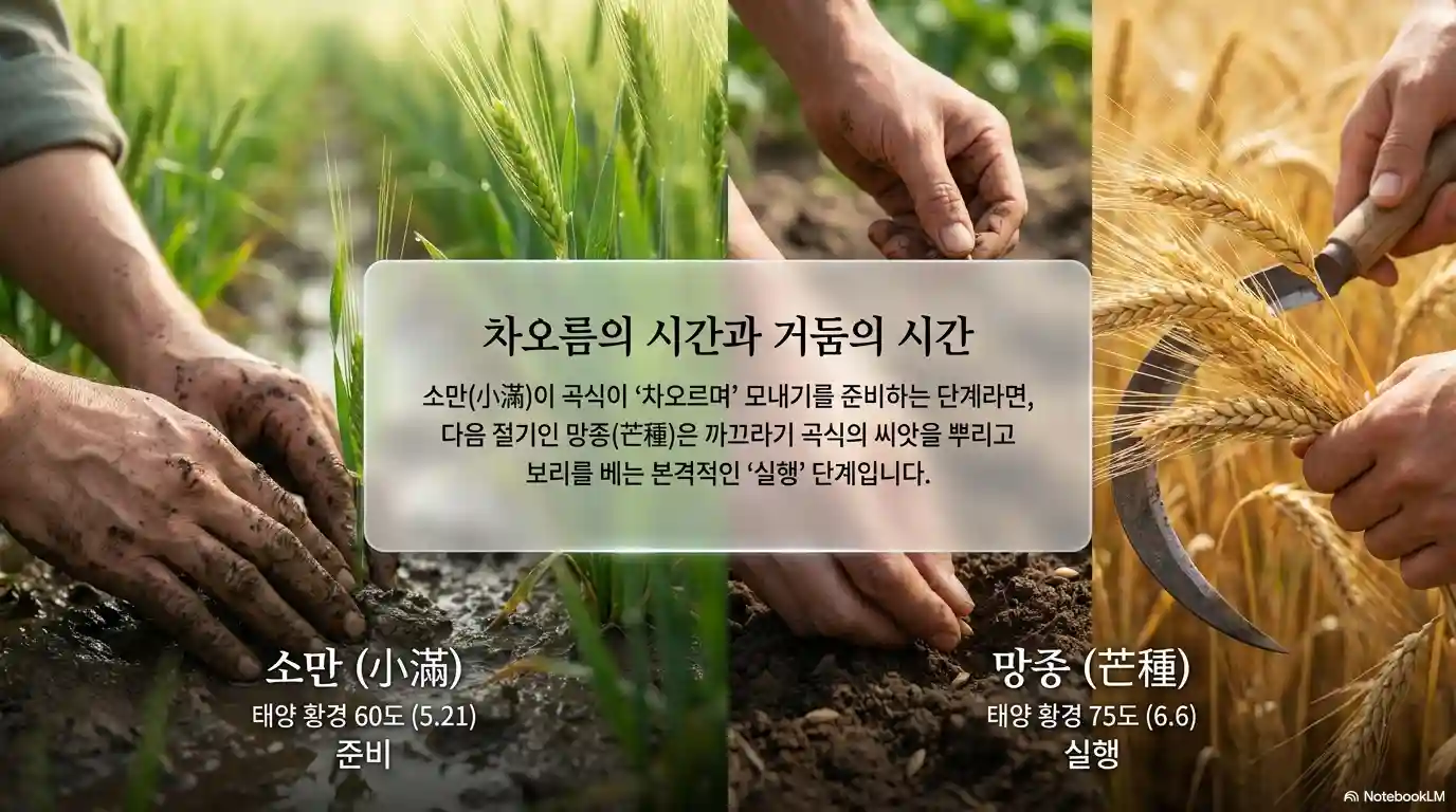 소만 망종 뜻 차이