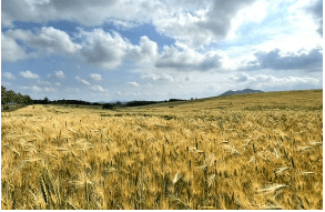 고창 학원 농장 입장료 총정리 관련사진