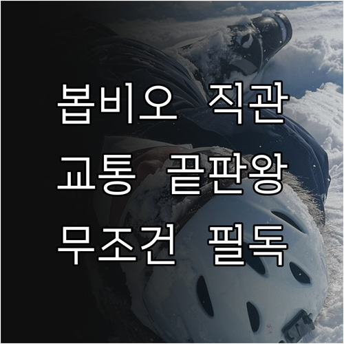 봅비오 알파인 스키 경기장 직관을 위..