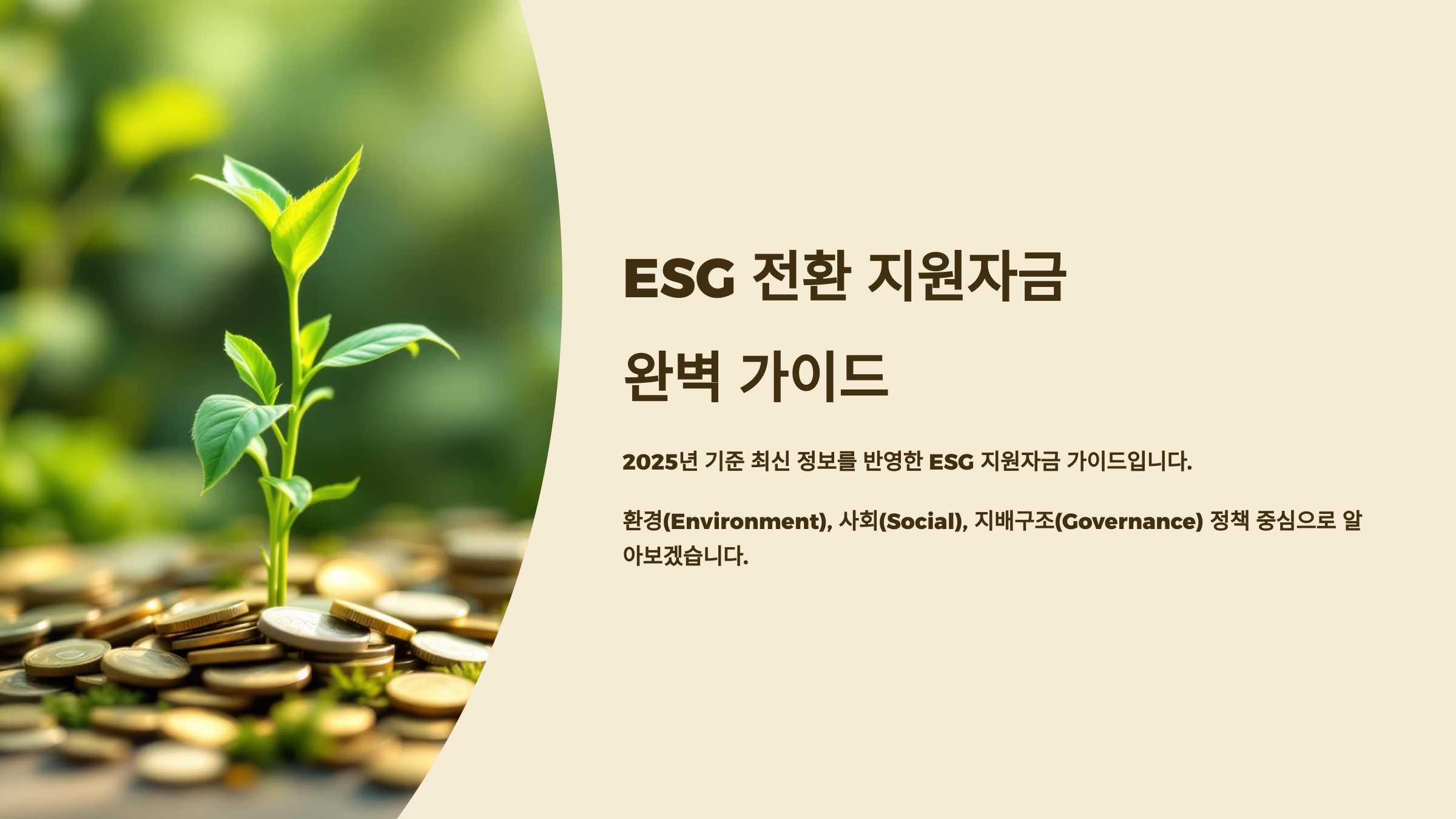 ESG 전환 지원자금 완벽 가이드, 대상별 지원규모와 신청방법