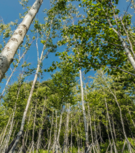 10월 화담숲 예약 방법