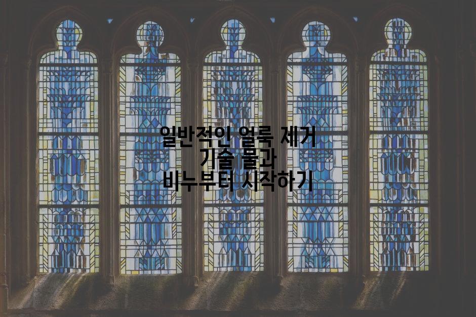 일반적인 얼룩 제거 기술 물과 비누부터 시작하기