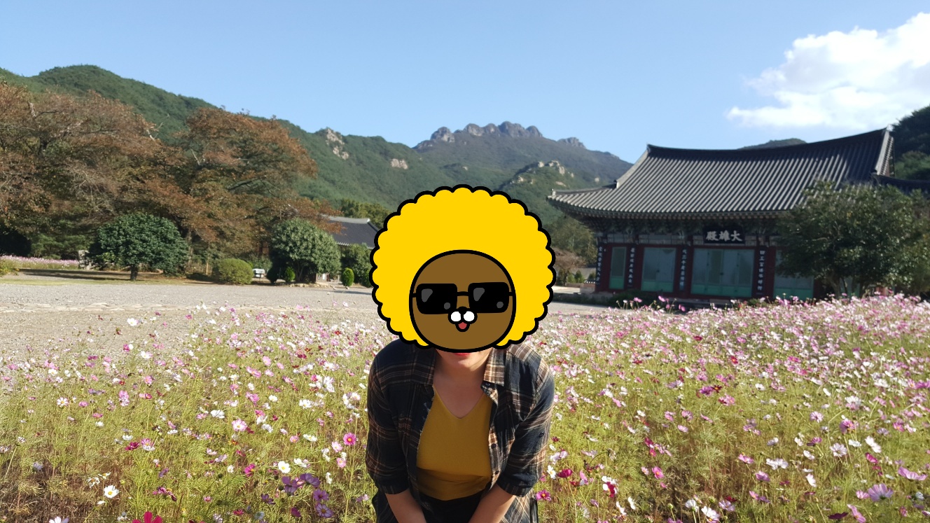 고흥-팔영산-코스코스