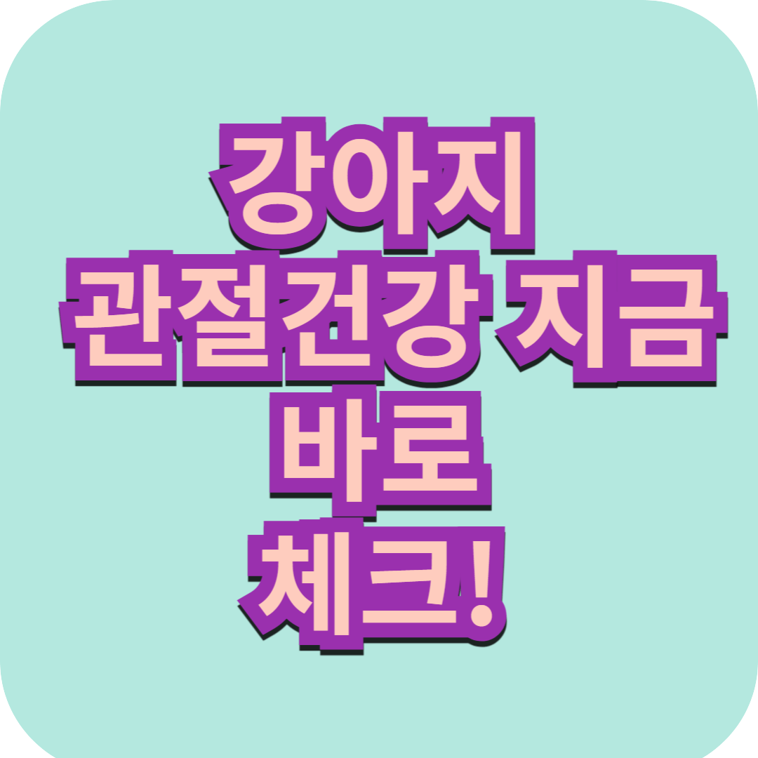 노견의 관절 건강, 주요 질환과 관리 방법