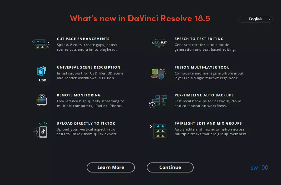 다빈치 리졸브 최초 실행 시 옵션 팝업