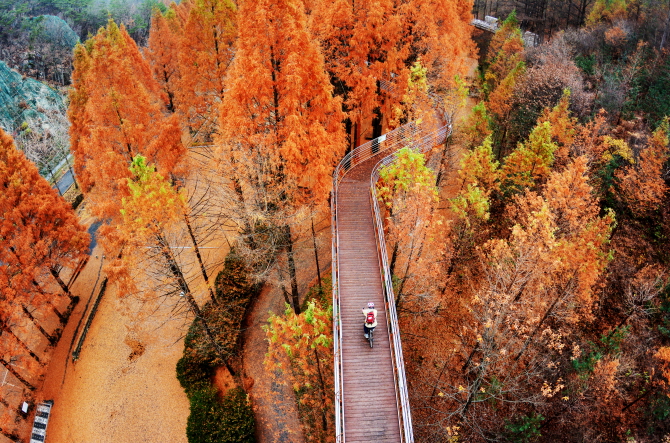 장태산 자연휴양림 예약 