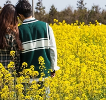 전국 벚꽃 봄꽃 축제 추천 Best 5