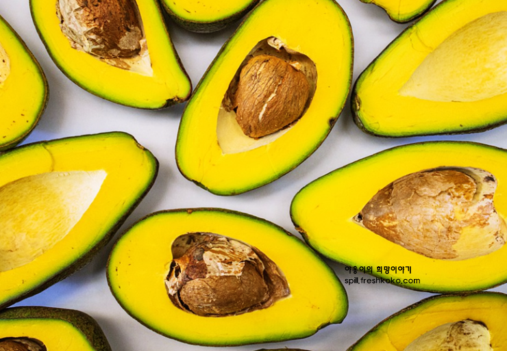 아보카도 오일 효능
