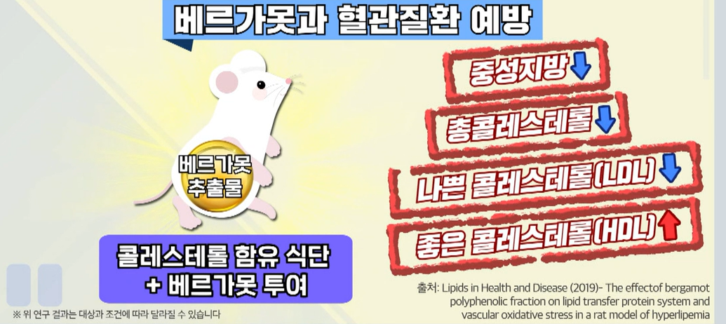 베르가못 효능