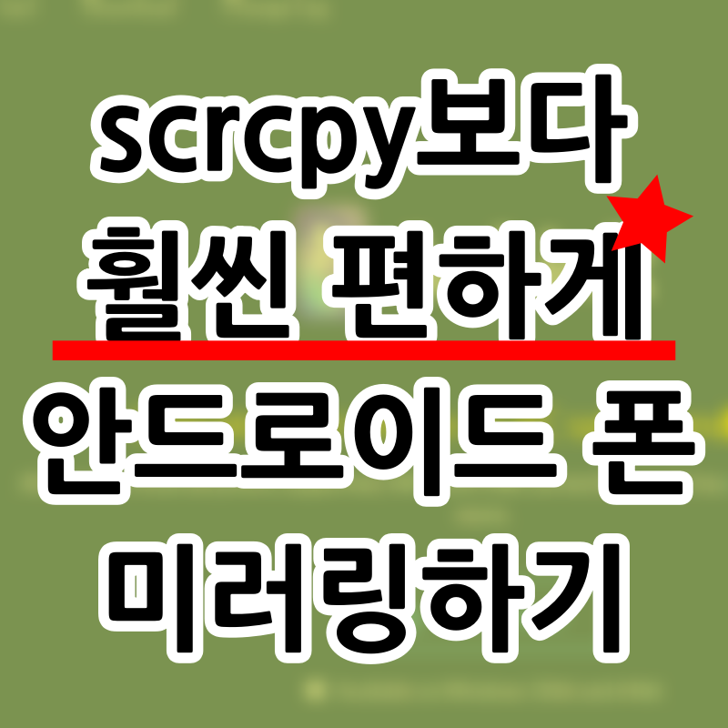 anlink로 미러링하기