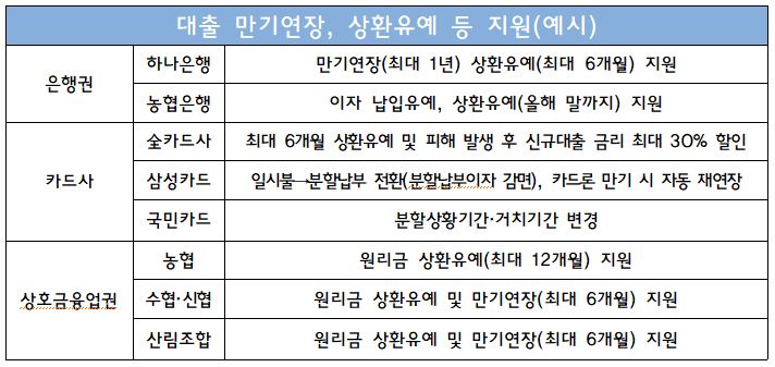 대출 만기연장 등