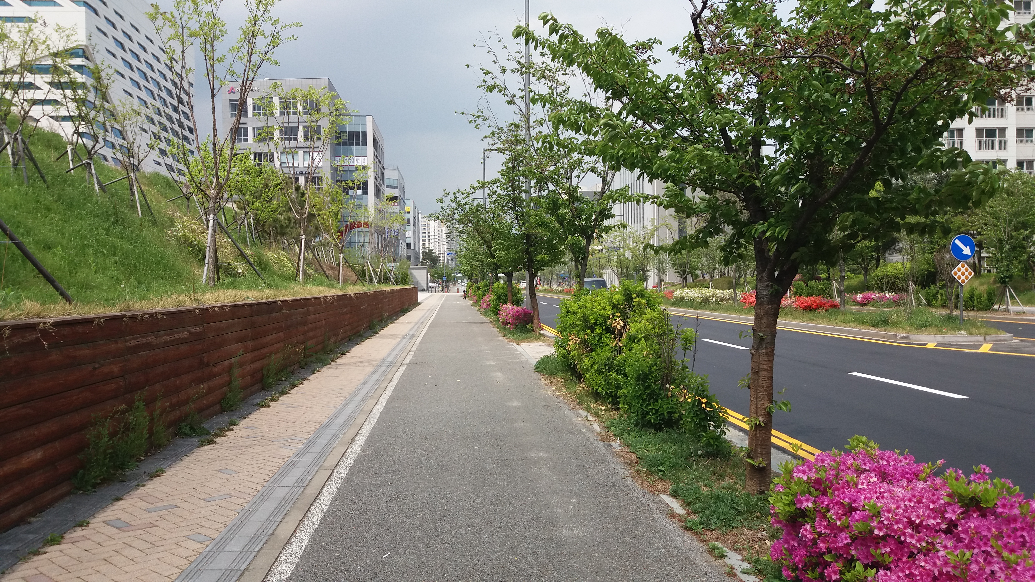 세종 시립도서관 가는 길