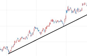 1000만원 투자 현명한 선택