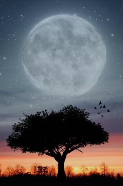 슈퍼문-뜨는-시간