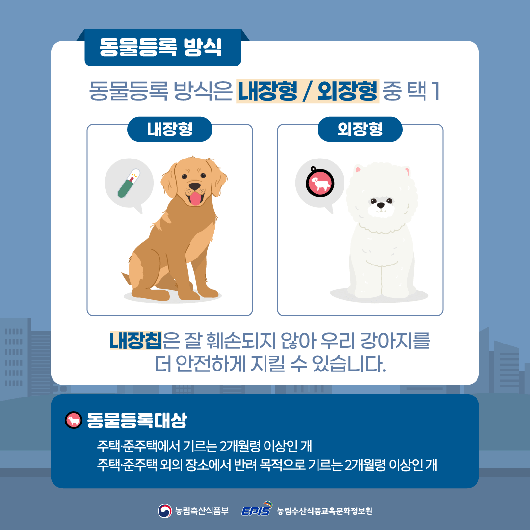 반려동물 등록 비용 내장칩vs외장칩 신청방법