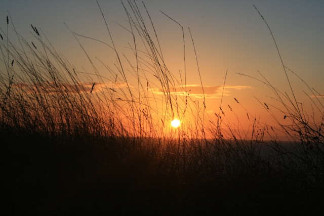 차 안에서 해돋이 명소 Best 5 - 주차 편한 곳만 모았다