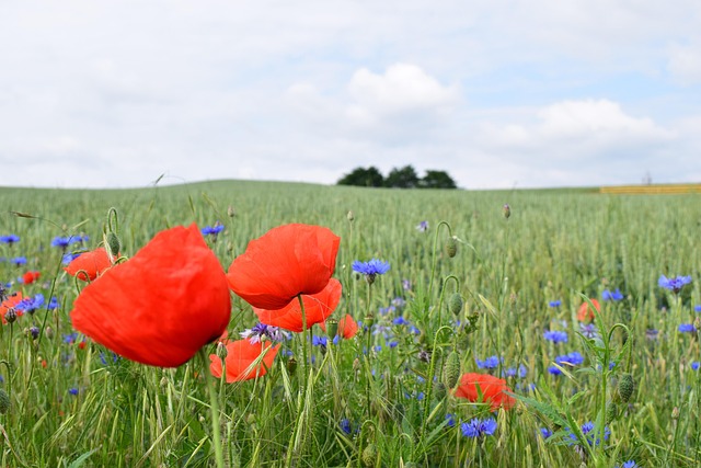코피 멈추는 법 BEST5 – 빠르고 효과적인 대처법