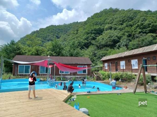 경기-연천-보물나라캠프-예약-방법-애견-동반-가격-주소-시간-후기