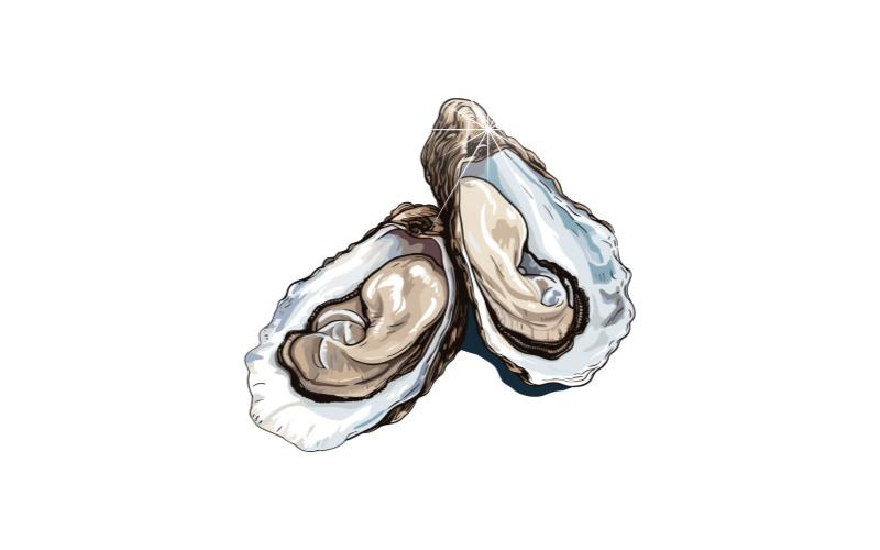 비브리오패혈증2