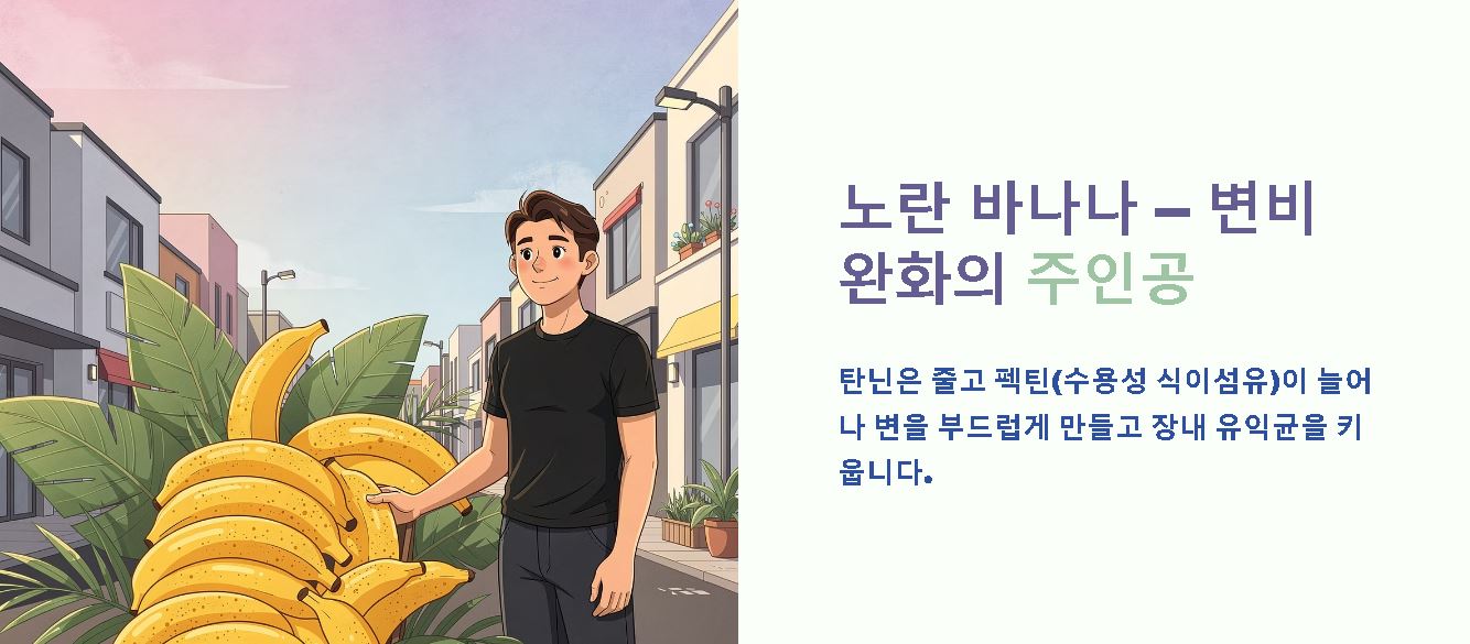 바나나 변비 정리