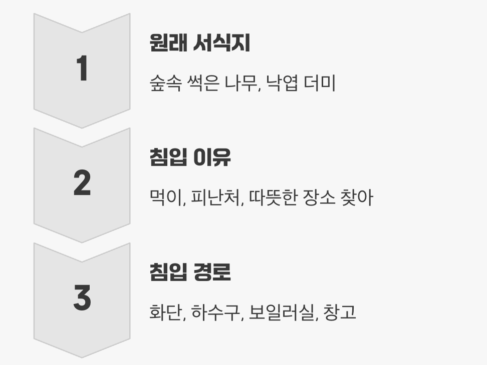 실내보다 실외를 좋아하는&amp;#44; 숲의 거주자